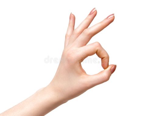 Woman hand ok sign. Isolated on white , #Sponsored, #hand, #Woman, #sign, #white, #Isolated #ad Hands Poses, Hand Studies, Finger Circle, Ok Hand Sign, Sign Photography, Drawing Hands, Woman Hand, Free Video Background, Hand Reference