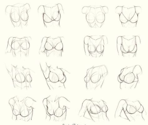 Female Anatomy Reference, Drawing Female Body, Female Drawing, Body Drawing Tutorial, Human Anatomy Art, Desen Anime, Anatomy Sketches, Body Reference Drawing, Gambar Figur