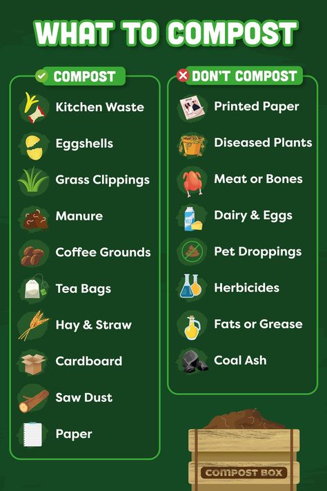 Want to start your own DIY compost bin? Here are the basics of what you can compost at home 🏡 Find out more with our full guide.. 🔗 #composting #compostbin #allotment #DIYCompostBin #PeatFree Homemade Compost Bin Diy, Compost Bin Diy For Beginners, Diy Composter, Compost Bin Ideas, Homemade Compost Bin, Diy Compost Bin, Plant Knowledge, Pioneer Living, Suburban Homestead