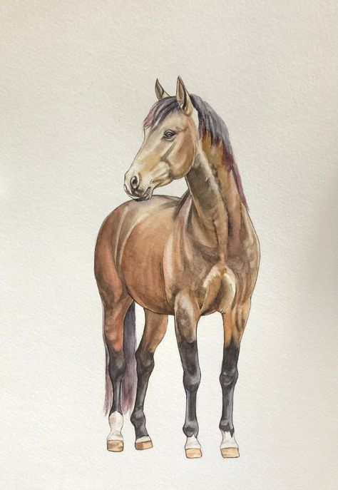 ❤   This is real hand painted  ❤ "BROWN HORSE" These original artwork is in a single copy! This is original watercolor painting.  Dimensions:  (8,3x11.7 inches) (21x29,7 centimeters)   If you want to decorate your home, the kitchen, living room or nursery with an original watercolor painting - is for you. Let these artworks delight you and your friends, it can also be a great gift.   💌 Production time is 1-2 days on average;  Shipping time is 5-18 days. 💝 100% customer satisfaction is my goal. Horse Portrait Painting, Horse Watercolor Painting, Watercolor Horse Painting, Horse Watercolor, Painting Dimensions, Painted Horses, Horse Anatomy, Animal Drawings Sketches, Horse Wall Art