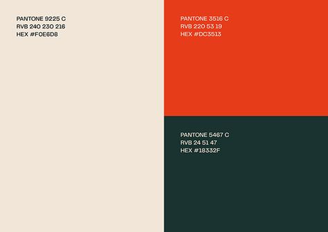 Orange Black Color Palette, Branding System, Green Branding, Flat Color Palette, Orange Palette, The Letter S, Color Design Inspiration, Orange Color Palettes, Hex Color Palette