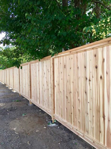 Wood Fence Panels, Cedar Fence Posts, Privacy Fence Ideas, Privacy Fencing, Privacy Fence Panels, Wood Privacy Fence, Wood Fence Design, Privacy Fence Designs, Privacy Landscaping