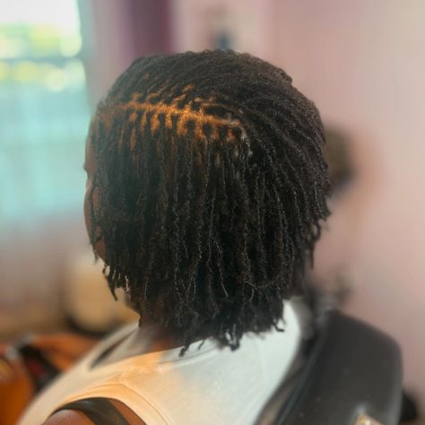 What a transition!!! 🦋 8 months into her Microlocks journey! #locs #microlocks #locjourney Loc Parting, Medium Sized Locs, Micro Locks, Micro Locs, Black Queens, Micro Braids, Flower Bomb, Queen Hair, Sisterlocks