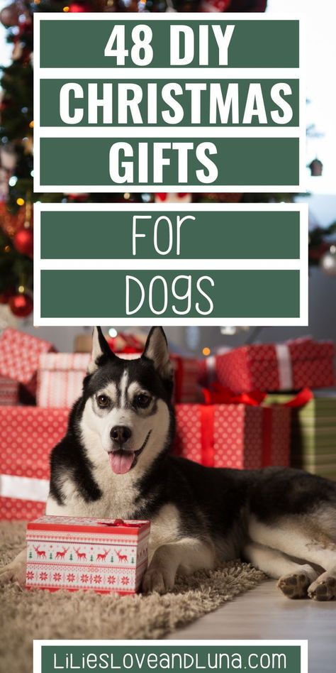 Pet Christmas Gifts Ideas, Dog Christmas Gifts Diy, Puppy Christmas Ornaments Diy, Diy Dog Presents, What To Get Your Dog For Christmas, Dog Christmas Presents Gift Ideas, Diy Christmas Gifts For Dogs, Christmas Crafts With Dogs, Christmas For Dogs Ideas