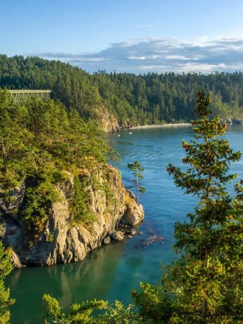 Getting to Whidbey Island WA | Washington INNsiders Oak Harbor Washington, Whidbey Island Washington, Copper Canyon, Washington Travel, Western Washington, Whidbey Island, Grand Tour, Washington State, Pacific Northwest