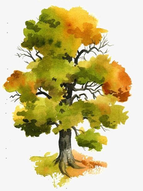 자작나무 그림, Watercolour Trees, Lukisan Lanskap, Tree Watercolor Painting, Mc Escher, Watercolor Paintings For Beginners, Cat Air, Watercolor Tree, Watercolor Pictures