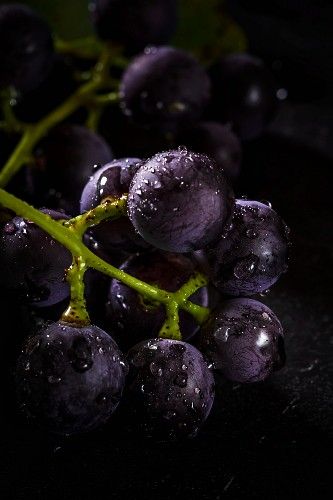 Grape Photography, Grapes Photography, Concord Grapes, Moody Food Photography, Black Fruit, Dark Food Photography, Food Art Photography, Fruits Photos, Afrique Art