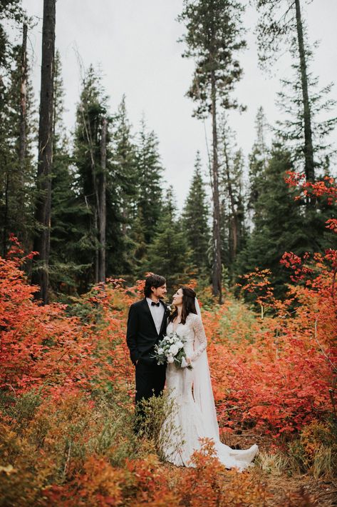 15 Gorgeous Photos to Inspire Your Fall Elopement | Wandering Weddings Vermont Fall Elopement, Fall Forest Elopement, Fall Wedding Photography October, Fall Wedding Elopement, Fall Wedding Portraits, Fall Wedding Photos Bride And Groom, Autumn Wedding Photoshoot, October Wedding Photos, Quirky Wedding Photos