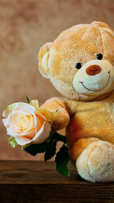 Brown teddy bear holding a single rose on a blurred background Cute Teddy, Teddy Bear, Wallpapers, Wall