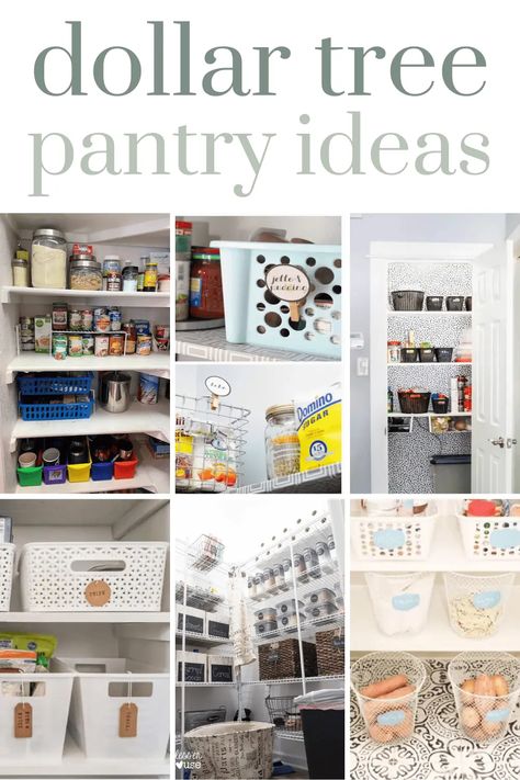 If you're looking for ways to organize your pantry in your kitchen on a budget, check out these Dollar Tree Pantry Organization Ideas. Dollar Tree Pantry Organization Ideas, Dollar Tree Pantry Organization, Dollar Tree Pantry, Pantry Organization Dollar Store, Corner Pantry Organization, Dollar Tree Kitchen Organization, Pantry Organization Hacks, Dollar Tree Kitchen, Tiny Pantry