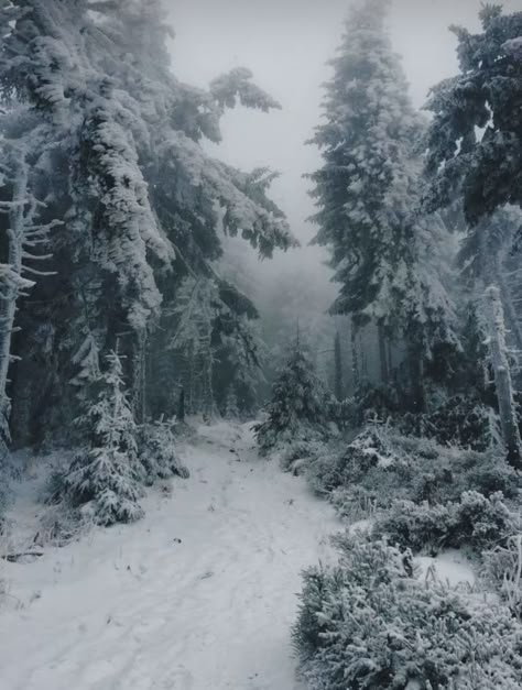 Winter Wilderness Aesthetic, Snowy Landscape Aesthetic, Snow Tundra Aesthetic, Winter Faerie Aesthetic, Frozen Tundra Aesthetic, Snowy Woods Aesthetic, Snowy Village Aesthetic, Winter Fantasy Aesthetic, Winter Nature Aesthetic