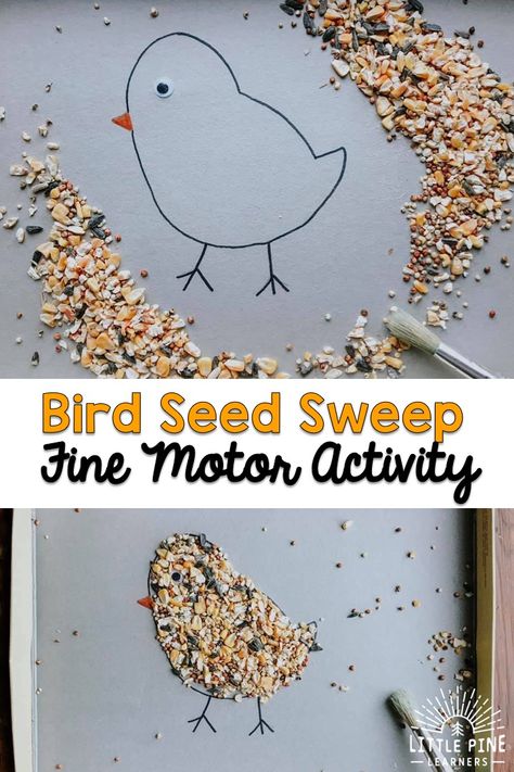 Bird Seed Sweep {A Fine Motor Activity} • Little Pine Learners Birds Art Activities For Preschoolers, Activities On Birds For Preschoolers, Birds Activities For Preschool, Preschool Crafts Birds, Birds And Insects Preschool, Quail Activities For Preschool, Feed The Bird Preschool Activity, Birds Lesson Plans For Toddlers, Bird Books For Toddlers