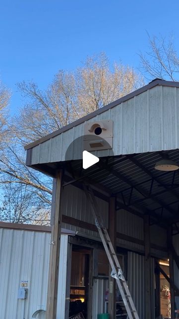 1.4M views · 85K likes | Kyle Lybarger on Instagram: "Can’t wait to get some barn owl families started! Barn Owl Box Company #nativehabitatproject #barnowls #conservation #birdhouse" Owl Boxes, Owl Birdhouse, Dream Homestead, Barn Birdhouses, Habitats Projects, Owl Box, Barn Owls, Farm Stuff, Box Company