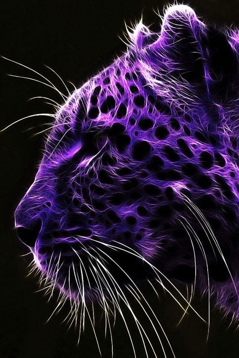 VIOLETA Y PLATEADO....❤ Cat Species, Purple Animals, Charcoal Drawings, Purple Leopard, Purple Reign, Purple Love, All Things Purple, Arte Animal, Purple Rain