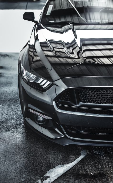 Download this photo by Dominic Swain on Unsplash Black Mustang Car, Mustang Iphone Wallpaper, Fort Mustang, Sports Cars Mustang, Ford Mustang Wallpaper, Mobil Mustang, Shelby Gt 500, Ford Mustang Bullitt, Black Mustang