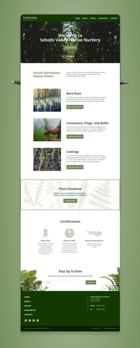 Designing a new website for a local nursery focused on sustainability. Super cool company and great people. Greenhouse Website Design, Conservation Website Design, Nursery Website Design, Agro Website Design, Web Design Sustainability, Sustainable Website Design Inspiration, Resources Page Website Design, Environment Website Design, Eco Friendly Website Design