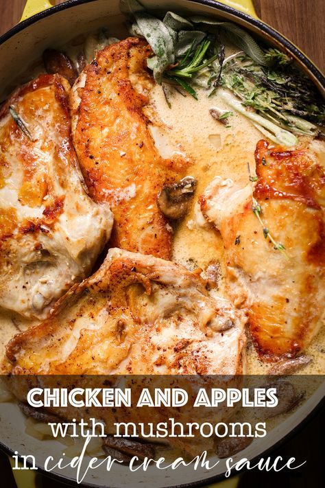 Tender pieces of chicken swimming in apple cider cream sauce with caramelized mushrooms and golden, buttery apples. This dish will blanket your home with the warm flavors of fall. Cider Cream Sauce, Apple Cider Smothered Chicken, Chicken Apple Dinner Recipes, Fall Meals Chicken, Apple Cider Chicken Breast, Brie Apple Chicken, Fall Recipes Chicken, Apples And Chicken Recipes, Chicken Fall Dinners