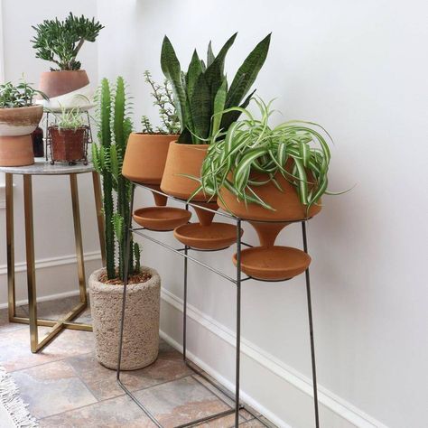 Indoor corner plant stand