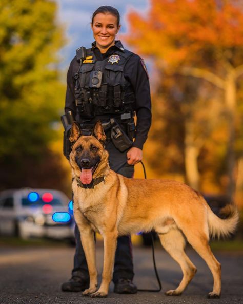 Belgian Malinois Police, Police K9 Photography, K-9 Unit, K 9 Dogs, K9 Police Dogs, K9 Police, Belgium Malinois, K9 Officer, Police Canine