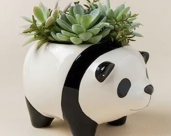 FunSucculents - Etsy Faux Tree Branches, Panda Decorations, Decorative Pebbles, Blue Ceilings, Succulent Planters, Animal Planters, Succulents Plants, Keramik Design, Unique Planter