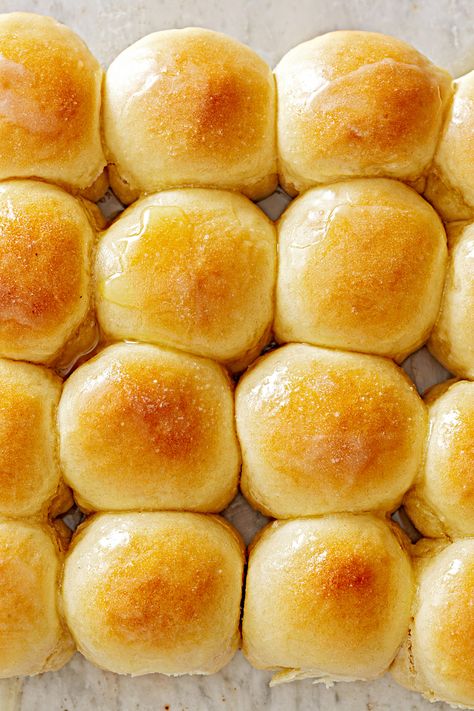 Overnight Refrigerator Rolls No Yeast Dinner Rolls, Dinner Roll, Thanksgiving Dinner Menu, Homemade Dinner Rolls, Yeast Rolls, Dinner Rolls Recipe, Delicious Thanksgiving, Holiday Side Dishes, Thanksgiving Appetizers