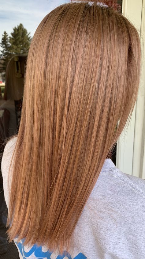 Ginger And Highlights, Light Cinnamon Hair Color, Rudy Blond, From Blonde To Red Hair Before And After, Ginger Hair With Highlights, Medium Golden Blonde, Straight Red Hair, Rambut Brunette, Blonde Hair Transformations