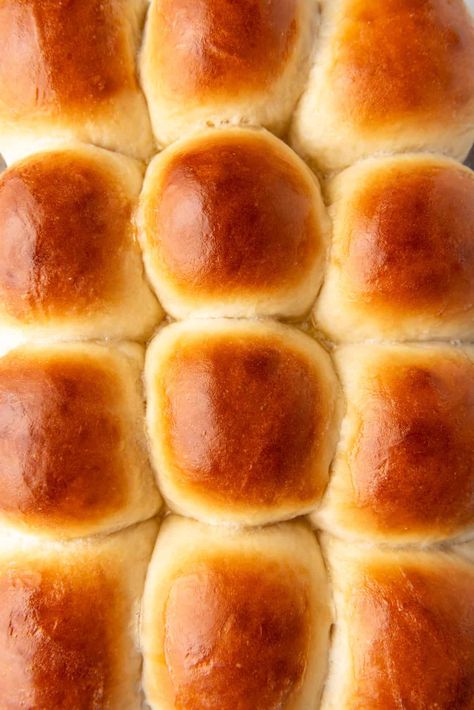 If you're looking to make the best homemade dinner rolls that are soft, fluffy, and perfectly golden brown, you've come to the right place! These buttery dinner rolls are perfect for a Thanksgiving dinner, a holiday meal, or any special occasion! Honey Milk Dinner Rolls, Thanksgiving Dinner Rolls Recipe, Orange Dinner Rolls, Easy Thanksgiving Rolls, Homemade Thanksgiving Rolls, Dinner Rolls Instant Yeast, Thanksgiving Food Ideas Dinners, Simple Thanksgiving Dinner, Brown Rolls