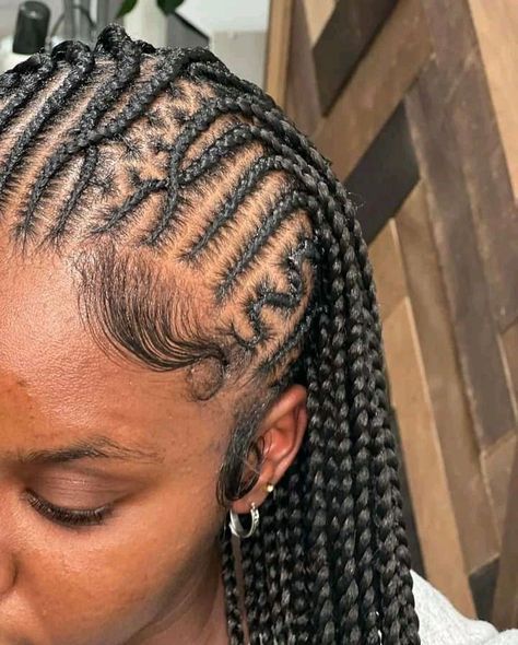 Funali Braids With Heart, Plaits Hairstyles Black, Funali Braids, Plaited Hairstyles, Black Hair Protective Styles, Hairstyles Wig, Thick Natural Hair, Braids Summer, Cute Braided Hairstyles