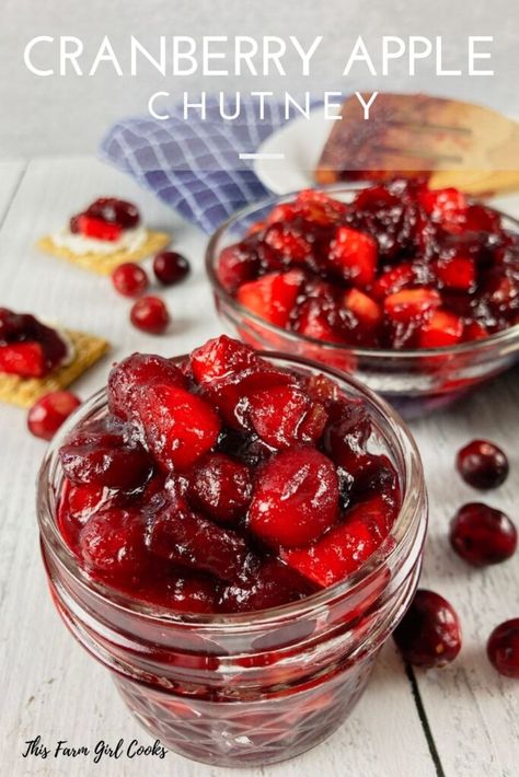 Cranberry Chutney Recipe, Fruit Chutney, Ip Recipes, Apple Chutney, Cranberry Relish, Cranberry Chutney, Cranberry Sauce Recipe, Vegan Holiday, Chutney Recipe