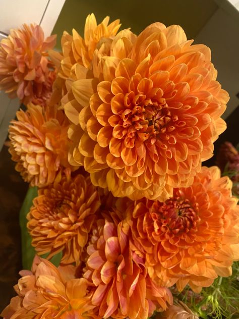 Orange Dahlia Flower, Dahlia Aesthetic, Dark Orange Flowers, Textiles Flowers, Dahlia Orange, Dalia Flower, Burnt Orange Flowers, Orange Dahlias, Orange Aura