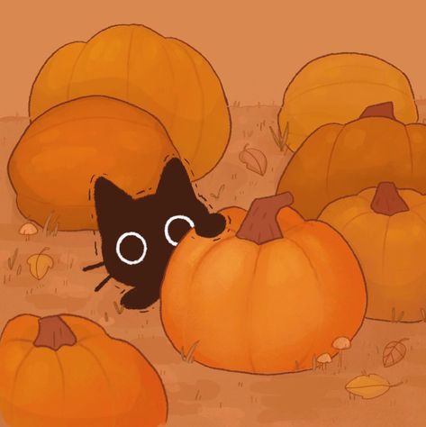 A Black Cat, A Black, Pumpkins, Black Cat, Halloween, Twitter, Black, Instagram