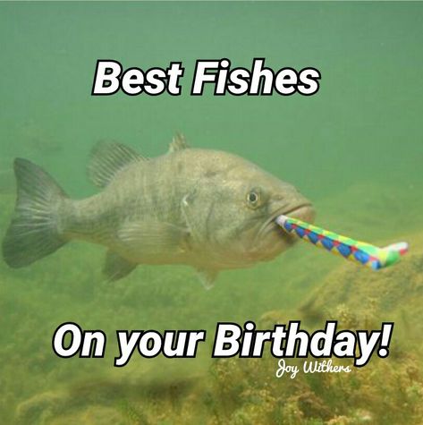 Happy Birthday Fishing Quotes, Fishing Birthday Quotes, Happy Birthday Fishing Funny, Fishing Meme, Fish Meme, Happy Birthday Fishing, Birthday Fishing, Funny Fish, Fishing Birthday Party