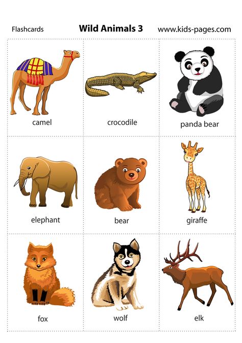 Animal Flashcards, Picture Dictionary, Flashcards For Kids, Kids Pages, Kids English, English Lessons For Kids, English Activities, Animal Activities, English Tips