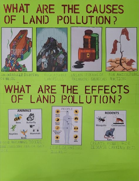 Cause and effect of land pollution Land Pollution Drawing, Land Pollution, Cause And Effect, Art Tutorials Drawing, Nervous System, Pollution, Drawing Tutorial, Art Tutorials, Mammals