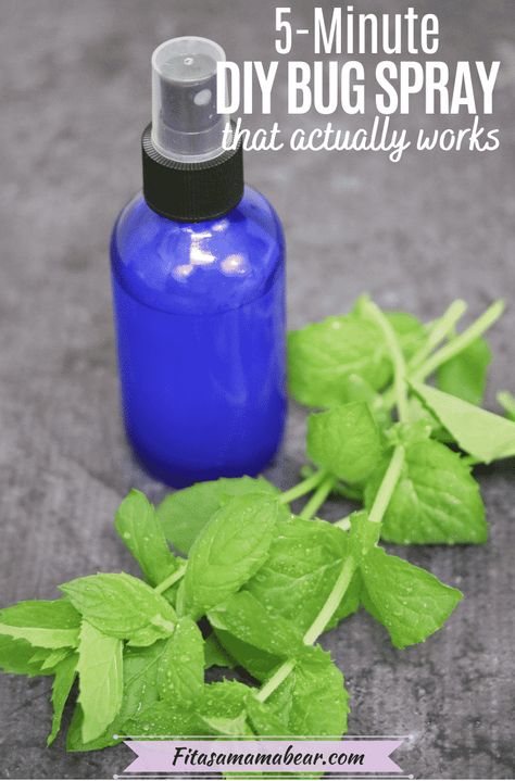 Homemade Citronella Bug Spray, Homemade Mosquito Spray For Skin, Mosquito Repelling Spray Diy, Mosquito Repellent Recipe, Homemade Misquote Repellent, Lemongrass Bug Repellent, Homemade Insect Repellent Mosquito Spray, Diy Bug Repellent For Porch, Citronella Spray Diy