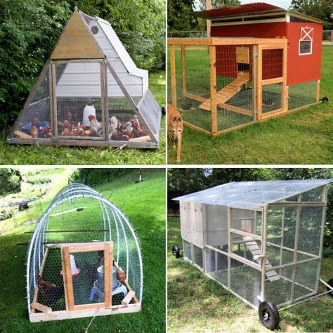 Low Budget Chicken Coop Ideas, Chicken Coop Tractor, Diy Chicken Tractor, Chicken Tractor Plans, A Frame Chicken Coop, Chicken Enclosure, Building Steps, Chicken Tunnels, Chicken Coop Blueprints