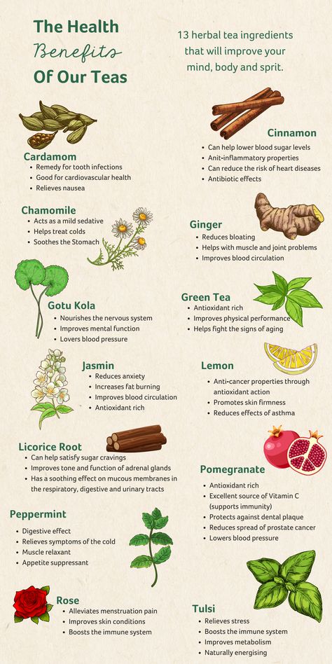 Herbal Tea For Health, Healthy Herbal Teas, Eucalyptus Tea Benefits, Tea Add Ins, Nutrient Food, Best Teas For Health, Herbal Tea Recipes Homemade, Herbal Tea Recipes, Herbal Tea Remedies