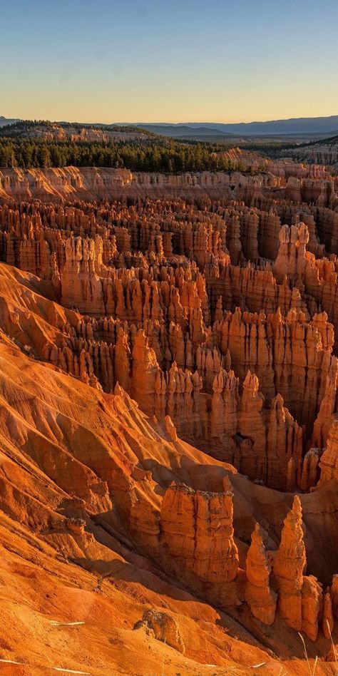 Monument Valley Utah, Diary Cover, Valley Landscape, Angels Landing, Mystical Places, Desert Life, Desert Art, Bryce Canyon National Park, Beautiful Places On Earth