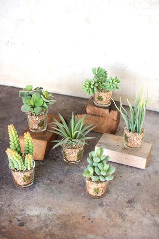 Succulents In Glass Containers, Miniature Garden Design, Succulents In Glass, Artificial Plants Outdoor, Artificial Succulents, Faux Succulents, Container Set, Real Plants, Faux Plants