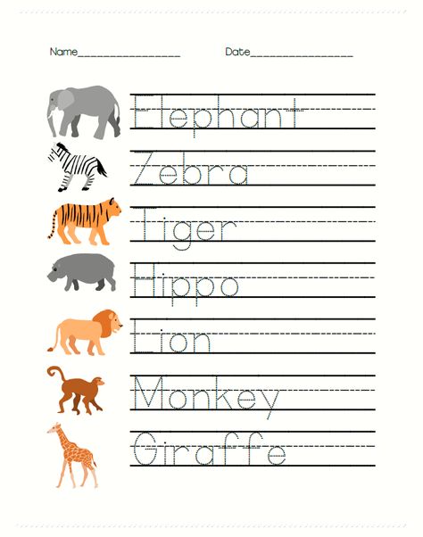 Free Safari Animal Worksheets for PreK are great for writing and math learning! Trace the animal names while talking about each animal: what color it is, what sound it makes, and where it lives! Study Africa, zoos, or animals with these fun worksheets. Also include addition (with pictures), tracing words, and fun facts about these awesome animals. Includes elephants, zebras, tigers, hippos, lions, monkeys, and giraffes! Zoo Animal Tracing, Animals Tracing Worksheet, Worksheets For Prek, Tracing Words, Zoo Animals Preschool, Zoo Animal Activities, Pre-k Writing, Learning Animals, Animal Writing