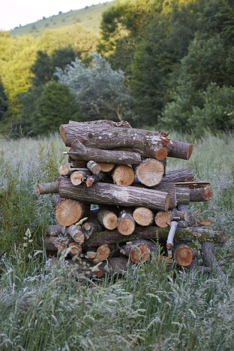 In most climates trees are felled in spring or even early summer and then dried in the open air before being chopped or stored in a wood shed or open stack over the summer or autumn. They will be ready to burn by winter. Log Planter, Homesteading Diy, Wood Pile, Homesteading Skills, Backyard Sheds, Divine Nature, Planter Design, Backyard Shed, Wood Shed