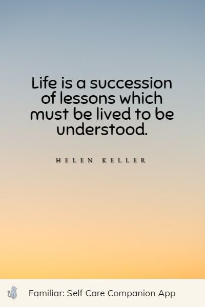 Each of the following positive lesson learned quotes is overflowing with wisdom, life lessons, and knowledge. All you need is a couple of minutes out of your Hard Lessons Learned Quotes, Life Lessons Quotes Relationships, Lesson Learned Quotes, Life Messages, Balance Life, Lesson Learned, Deeper Life, Motivation Monday, Quotes By Genres