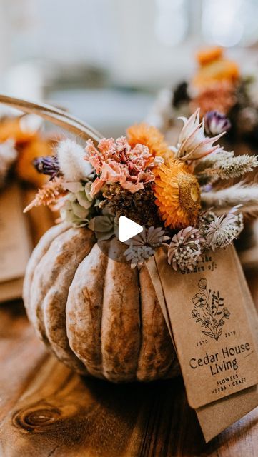 Jess Buttermore | Flowers • Herbs • Craft on Instagram: "These eco-friendly dried botanical pumpkins are a lovely way to mark the season and honor your teachers, neighbors, friends, and other special people in your life at the same time. I made these using dried botanicals from my garden and small black futsu decorative pumpkins to decorate our teachers’s desks and included a gift card so they could treat themselves at our favorite local coffee shop @aromacoffee. Here’s how I made them:  Materials: 🤎 dried botanicals 🤎 small decorative pumpkins 🤎 twine or raffia ribbon 🤎 gift tag 🤎 gift card to your favorite local coffee shop   Supplies: 🤎 hole punch 🤎 scissors 🤎 glue gun (optional)  To make: 1. Write a message on your gift tag. Punch a hole into the tag and into the gift card enve Dried Floral Pumpkin Arrangement, Dried Flowers Pumpkin, Dried Floral Pumpkin, Pumpkin With Dried Flowers, Dried Flower Pumpkin, Inside Of A Pumpkin, Thanksgiving Flower Arrangements, Coffee Shop Supplies, Dried Botanicals