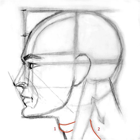 http://online-drawinglessons.com - How to draw a human face male and female face. Characters References, Drawing The Human Head, Draw A Face, Realistic Eye Drawing, Eye Expressions, Drawing Heads, 얼굴 그리기, Human Figure Drawing, Figure Sketching