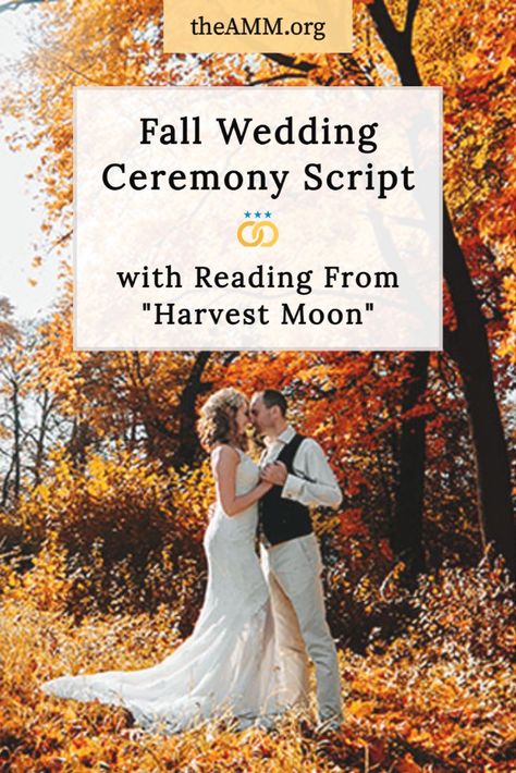 2nd Wedding Ceremony Script, Wedding Welcome Script, Pagan Wedding Ceremony Script, Officiant Speech Wedding Script, Non Denominational Wedding Ceremony Script, Wedding Ceremony Script Examples, Wedding Minister Script, Harvest Moon Wedding Theme, Full Moon Wedding Ceremony