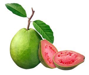 Contoh Desain Stiker Kemasan Keripik Daun Jambu Unik Guava Health Benefits, Jambu Batu, Buah Jambu, Jambu Biji, Guava Benefits, Guava Recipes, Sistem Pencernaan, Guava Fruit, Reed Diffuser Oil