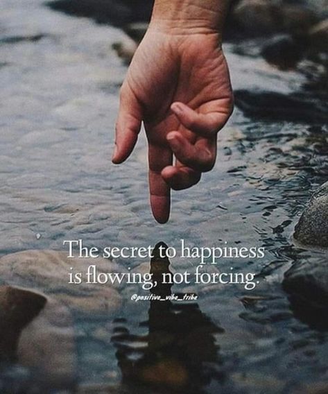 Flow Quotes, Secret To Happiness, Go With The Flow, Better Life Quotes, Happiness Is, A Quote, Wise Quotes, Rumi, Beautiful Quotes