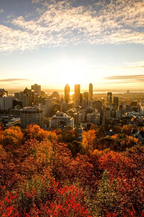 Montreal's beautiful view - fun city! Montreal Canada Photography, Mcgill Aesthetic, Trippie Art, Montreal Wallpaper, Canada Vibes, Canada Aesthetic, City Portraits, City Sunrise, Canada Map