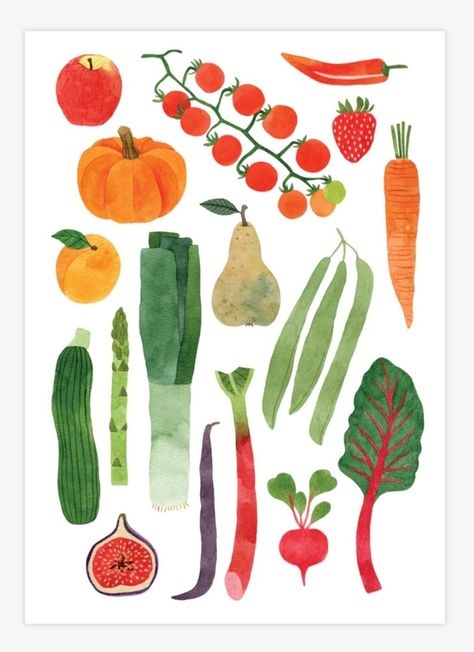 Egg Carton Illustration, Vegetable Mural, Veggie Drawings, Vegetable Collage, Veg Illustration, Veggies Drawing, Ingredient Illustration, Watercolour Vegetables, Cute Vegetables