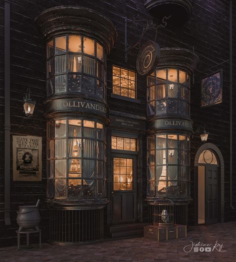 Olivanders Wand Shop Aesthetic, Ollivanders Aesthetic, Harry Potter Buildings, Olivanders Wand Shop, Ollivanders Wand Shop, Dark Academia Room Ideas, Wand Shop, Magic Store, Harry Potter Shop